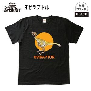 恐竜・古代生物Tシャツ　オビラプトル　サイズ110（キッズ・ユニセックス）