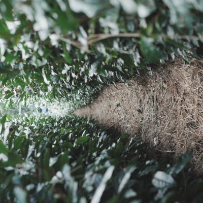 ふるさと納税 掛川市 世界農業遺産に認められた茶葉を味わう最高級ボトリングティー | Apoptosis N |  | 02