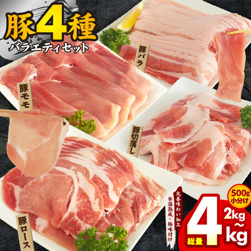 【ふるさと納税】豚肉 4種 食べ比べセット 氷温熟成×極味付け 小分け 普段使い 野菜炒め お楽しみ 訳あり 部位不揃い 氷温熟成豚 豚 熟成肉 氷温熟成 作り方 ふるさと納税オリジナル 限定 お取り寄せグルメ 発送月 大阪府 泉佐野市 送料無料 肉の泉佐野