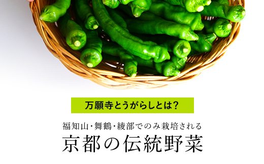 【2025年6月下旬発送開始！】万願寺とうがらし 2kg / ふるさと納税 京野菜 野菜 旬の野菜 万願寺とうがらし 伝統野菜 京都 京都府 福知山市 FCDB040