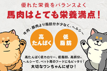 【定期便6回】ペット用 熊本加工 馬肉 切り落とし【 1kg ×6回配送 】 合計 6キロ ドッグ フード 無添加 無香料 ヘルシー 高栄養 馬刺し 冷凍 お肉専門店 熊本県 国内加工 041-050