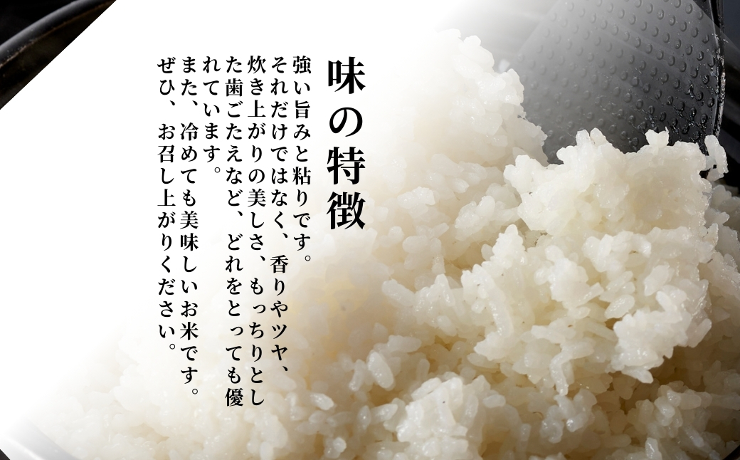 令和8年産新米先行予約 米 コシヒカリ 新潟 5kg 定期便 3回 特別栽培米 伊彌彦米 精米 新潟県コシヒカリ 5キロ × 3ヶ月 | 新潟産コシヒカリ 新潟県産コシヒカリ 新潟県産こしひかり お米
