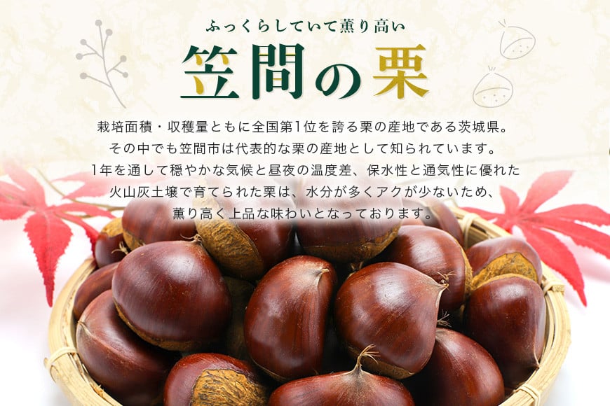 栗トリュフ 2箱セット チョコレート 生チョコ 栗 くり クリ 栗スイーツ 国産 ギフト プレゼント トリュフ 洋風笠間菓子グリュイエール 笠間市 かさま 茨城県 いばらき AB-004