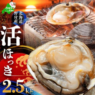 ふるさと納税 別海町 【先行受付】活ホッキ貝 2.5kg　北海道 野付産 豪快な大玉ほっき貝 ホッキカレーが絶品