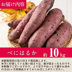 ＜先行予約受付中・2025年8月以降順次発送予定＞鹿児島県曽於市産！新物 紅はるか(10kg) 芋 さつまいも 紅はるか【瀬崎農園】A350-v02