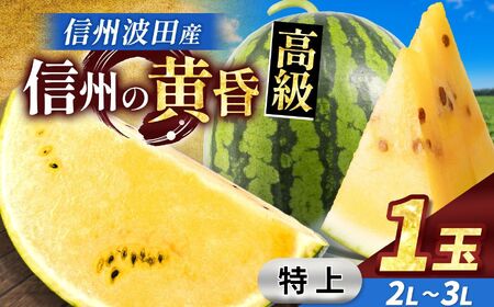 【先行受付：2026年7月発送】信州波田産 甘いスイカ！ 信州の黄昏 ( 金色羅皇 ) 【特上】 2L～3Lサイズ 1玉｜ふるさと納税 長野県 信州 松本 果物 フルーツ すいか スイカ 西瓜