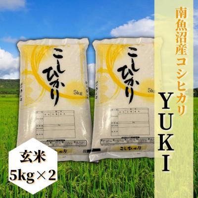ふるさと納税 南魚沼市 【令和8年産 新米予約】南魚沼産コシヒカリ「YUKI」(玄米10kg)新潟県の特A地区の美味しいお米