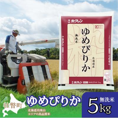 ふるさと納税 壮瞥町 【令和7年産】(無洗米5kg)ホクレンゆめぴりか SBTD058