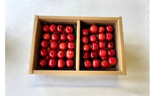 さくらんぼ（紅秀峰）１ｋｇ　２Ｌサイズ　0069-2504