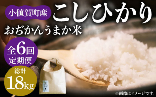 【全6回定期便】【令和6年度産】おぢかんうまか米（小値賀町産こしひかり 3kg ・精白米） [DAB012] コシヒカリ こしひかり お米 常温