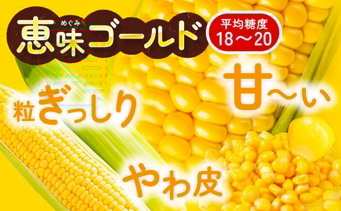 「恵味ゴールド」「平均糖度18～20」粒ぎっしり 甘～い やわ皮