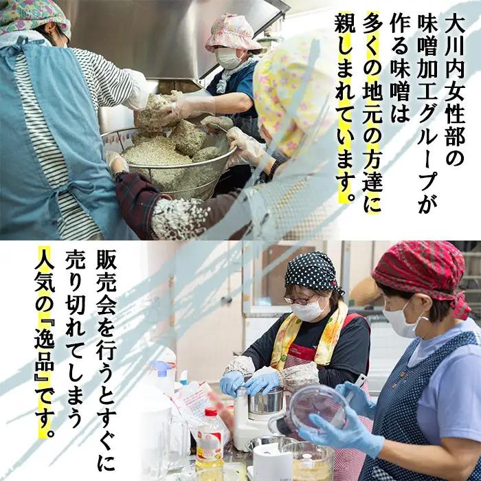 大川内 麦味噌 1kg×6袋 味噌 みそ 【大川内地区コミュニティ協議会】 i346