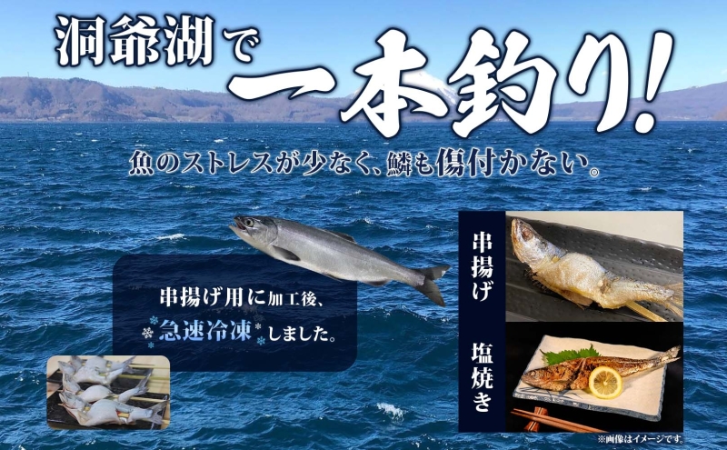 北海道洞爺湖産　串揚げ用ひめます　4本