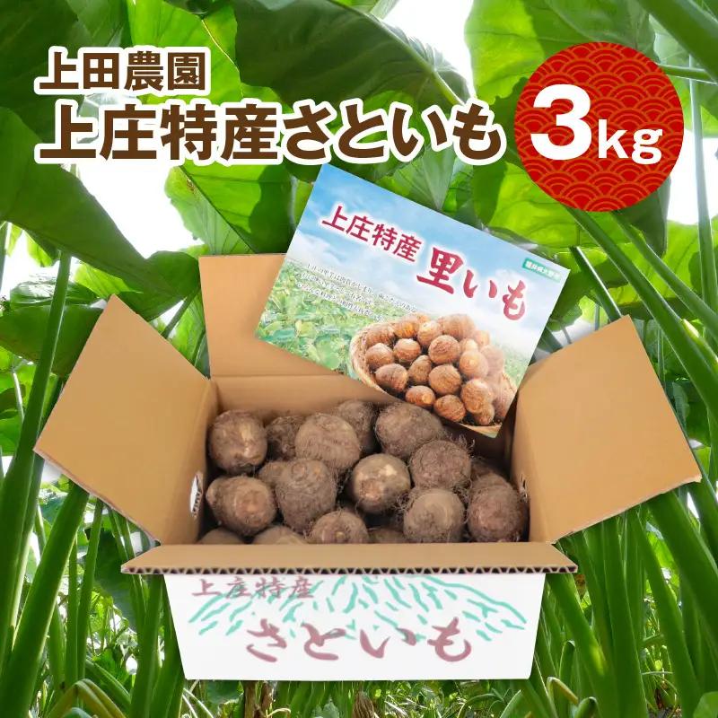 【先行予約】【満天☆青空レストランでご紹介】上田農園 上庄特産さといも 3kg【10月下旬から順次発送】年内発送