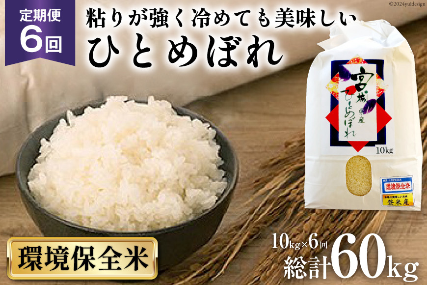 
            6回 定期便 米 宮城県産 ひとめぼれ 環境保全米 10kg ×6回 総計 60kg [菊武商店 宮城県 気仙沼市 20564936] お米 こめ コメ 白米 精米 ブランド米 ご飯 ごはん 小分け 家庭用 6ヶ月
          