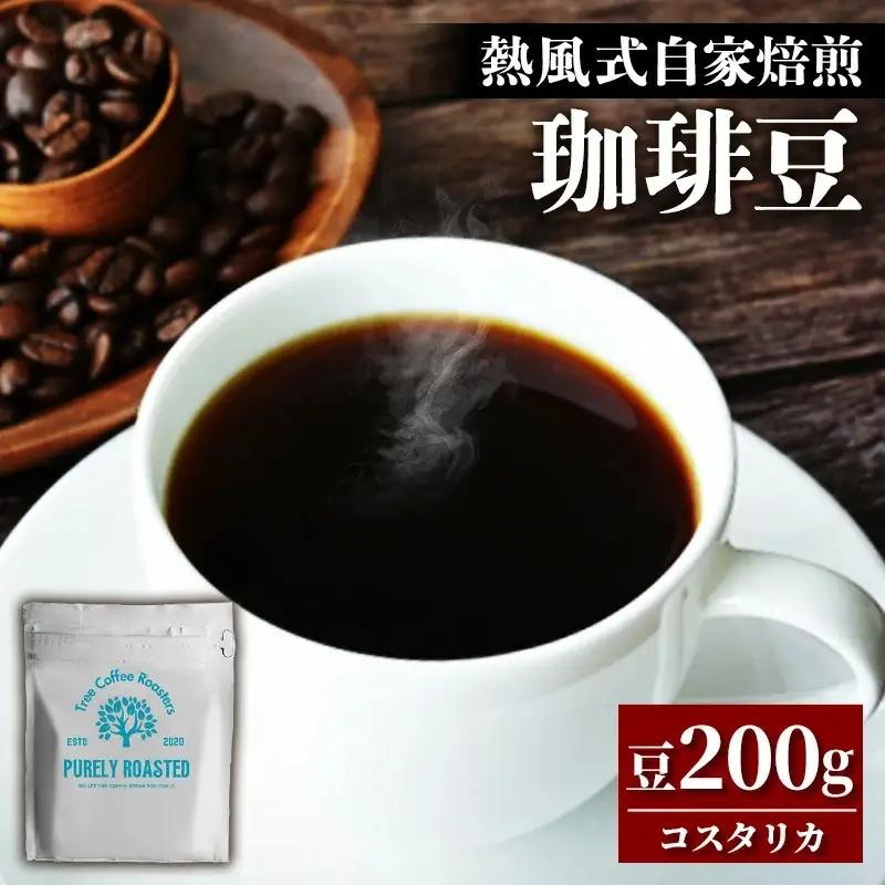 【完全受注焙煎】Tree Coffee Roasters「コスタリカ タラス ハニー ハイロースト」 200g - コーヒー 豆 自家焙煎 熱風式焙煎 贈り物