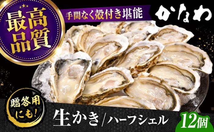 
                  【生牡蠣】かなわの生牡蠣 ハーフシェル 12個入り 江田島市／株式会社かなわ [XBP010]｜生牡蠣 牡蠣 生食 殻付き 殻付 殻 かき カキ 生牡蠣 広島牡蠣 オイスター ハーフシェル 魚介類 魚介 貝類 海鮮 広島県産 国産 産地直送 贈答 ギフト 特産品
                