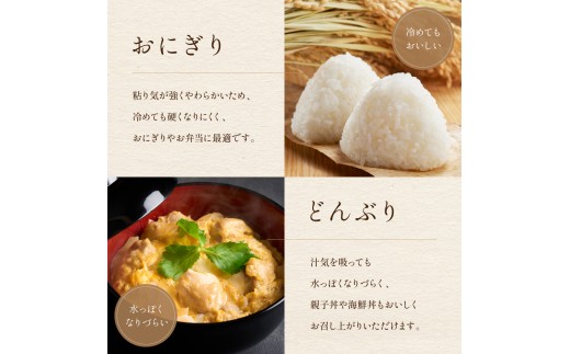 【先行予約】【6ヵ月定期便】令和8年産 北海道南るもい産 ゆめぴりか(白米)5kg 全6回 R011-024-R8