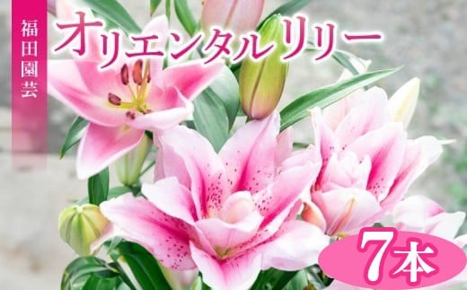 ユリ オリエンタルリリー 7本セット 花 ギフト プレゼント 誕生日 記念日 お祝い 母の日 父の日 敬老の日 結婚式 ブーケ 切り花 つぼみ 大輪 ピンク 白 香り 高級 エレガント 優雅 華やか メッセージカード 福田園芸 安芸市 高知県