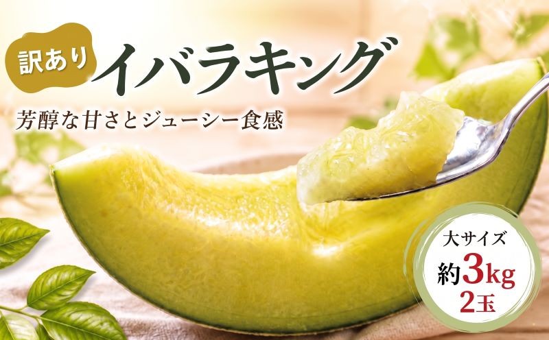 
                  【訳あり】 イバラキングメロン （大）2玉（約3kg） メロン めろん 舐瓜 茨城 果物 くだもの フルーツ 果実 国産 メロン めろん meron melon 舐瓜 旬 デザート 産地直送 農家直送 数量限定 期間限定 旬 ふるさと納税メロン 茨城県 鉾田市
                