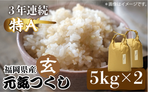 【先行予約】福岡県産【特A】評価のお米「元気つくし」5kg×2袋 [10kg] [玄米]【2024年11月下旬以降順次発送】《築上町》【株式会社ベネフィス】 [ABDF031]  ご飯 ごはん 米 こめ コメ おにぎり 27000円 2万7千円