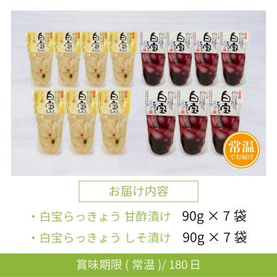 ふるさと納税 南さつま市 【鹿児島県産】白宝らっきょう 14P(甘酢漬け×7P・しそ漬け7P) |  | 01