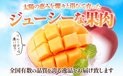《2024年発送》期間限定 数量限定 宮崎県産 完熟マンゴー 2L1玉 約350g以上