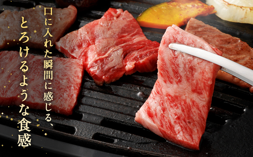 ＜霜降り焼肉 300g×2＞翌月末迄に順次出荷 計600g 宮崎牛 黒毛和牛 国産牛 ロース 肩ロース お肉 牛肉 霜降り 焼き肉 BBQ 贅沢 高級 冷凍 九州 宮崎