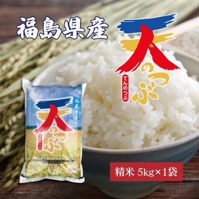 ふるさと納税 郡山市 令和7年産 福島県郡山産天のつぶ(精米)5kg