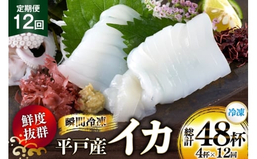 海鮮 魚介 イカ 4杯 1パック（冷凍） 12回 定期便 [舘浦漁業 長崎県 平戸市 hr42bgy420351] おつまみ 新鮮 刺身 瞬間冷凍 冷凍 コリコリ 直送 冷凍 個包装 真空パック
