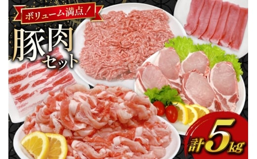 豚肉 宮崎県産豚肉 5kg 詰め合わせ セット [TRINITY 宮崎県 日向市 452061325] 小分け 豚 肉 宮崎 ロース スライス 豚バラ とんかつ 切り落とし ミンチ 豚ミンチ ひき肉 真空パック
