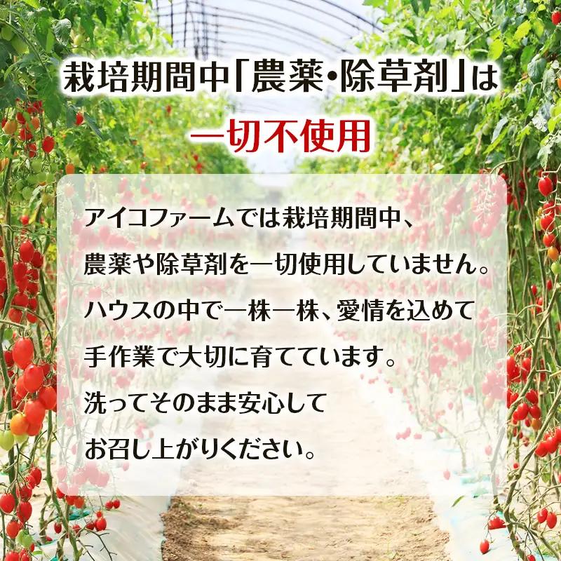 8月発送開始[2026年発送] 超完熟ミニトマト【 アイコ 】1kg 栽培期間中 農薬・除草剤不使用 サイズ混載 トマト ミニトマト 野菜 北海道 仁木町 [アイコファーム] 