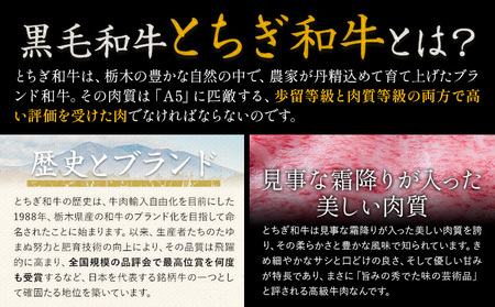 【ふるなびWEEK対象】黒毛和牛とちぎ和牛焼肉切り落とし1.2kg A4～A5等級 霜降り