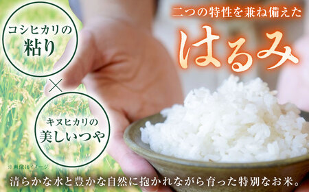 【令和7年産】【特Aランク受賞実績あり！】はるみ 20kg(10kg×2袋)【井上農園】 米 お米 精米 白米 はるみ[BDBB004]
