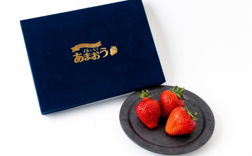 千年いちご スーパープレミアム あまおうイチゴ (450g) 1月お届け あまおう いちご イチゴ 苺 フルーツ 果物 冷蔵 送料無料 福岡県 うきは市 【2026年1月より順次発送予定】
