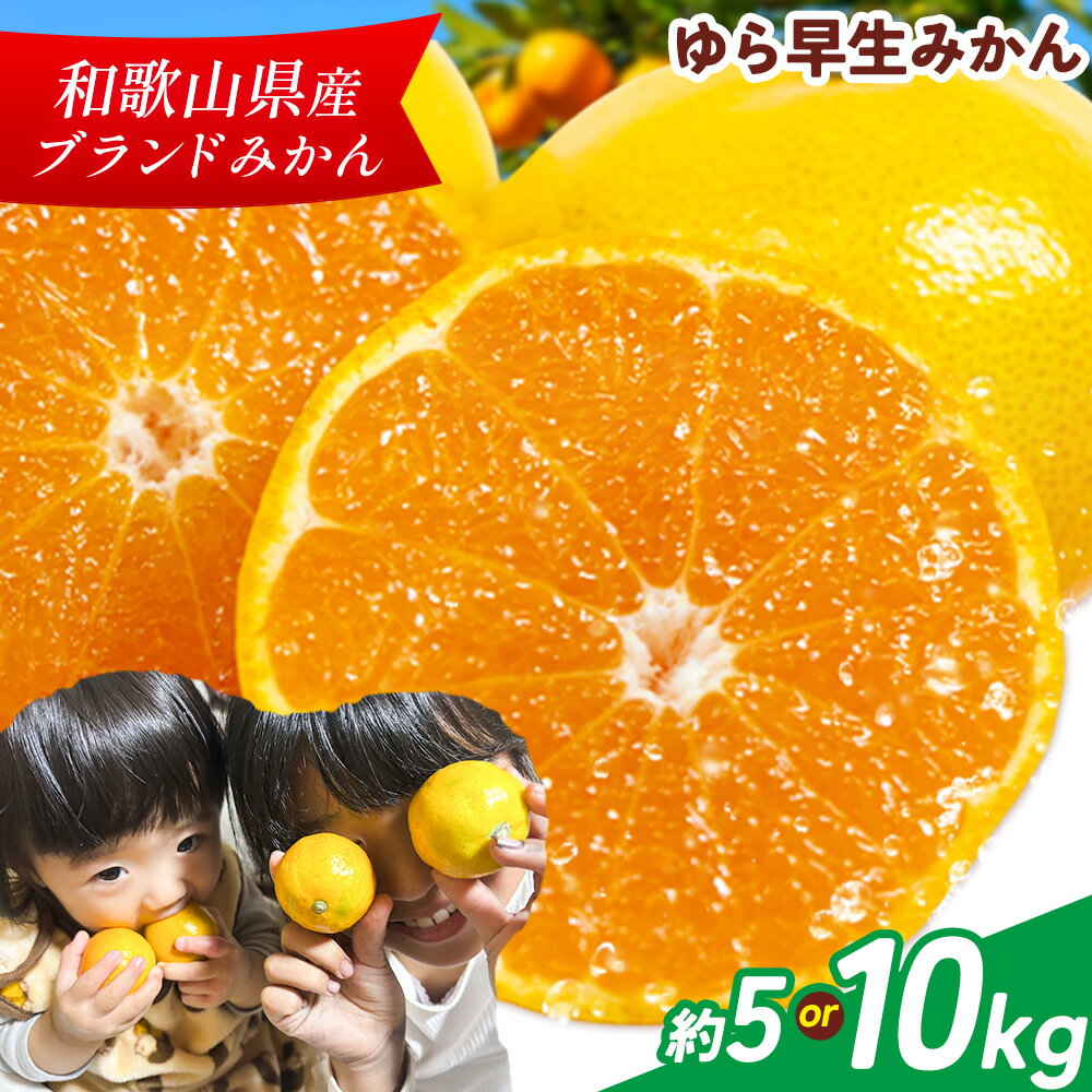 【ふるさと納税】ゆら早生みかん 選べる 約5kg 約10kg マルツネ農園《11月上旬-12月下旬頃出荷》 和歌山県 日高川町 旬 果物 みかん 蜜柑 フルーツ 柑橘 産地直送 送料無料