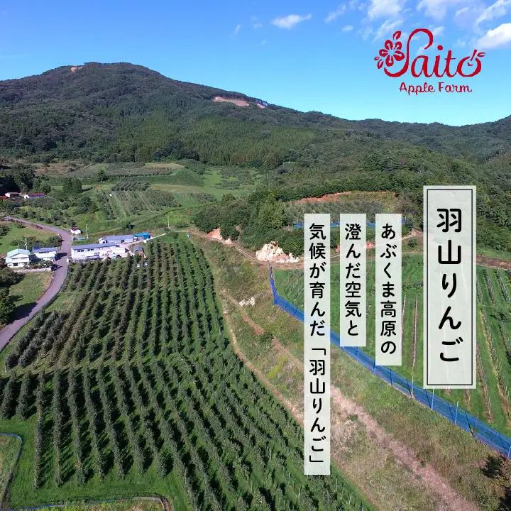 りんご《2026年11月下旬以降順次》羽山のりんご ふじL～3Lサイズ5kg りんご リンゴ 果物 フルーツ【斎藤りんご園】