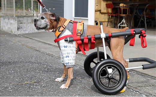 
大型犬用二輪車椅子（背丈50～75cm　体重40キロ以下）【！寄附前に事業者へ相談必要！】
