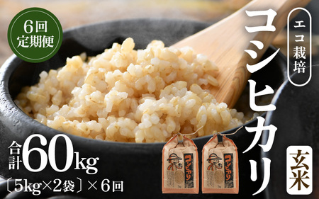 【先行予約】【令和7年産 新米】《定期便6回》エコ栽培コシヒカリ 玄米10kg（5kg×2袋）計60kg ／ 鮮度抜群 福井県産 こしひかり ご飯 新鮮 玄米 ※2025年10月上旬より準備出来次第発送 [aw063-k001]