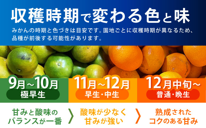 〈1週間以内に発送〉伊木力みかん(大玉) 10kg / みかん ミカン 蜜柑 フルーツ 果物 / 諫早市 / 山野果樹園 [AHCF005]