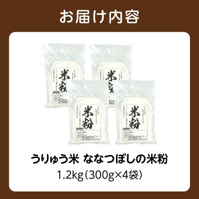 ふるさと納税 雨竜町 北海道 雨竜町産 うりゅう米 ななつぼし 米粉 1.2kg(300g×4個) |  | 03