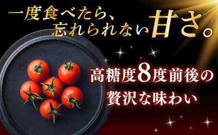 【先行予約】V トマト 糖度8度前後 800g トマト  [AKBL003]