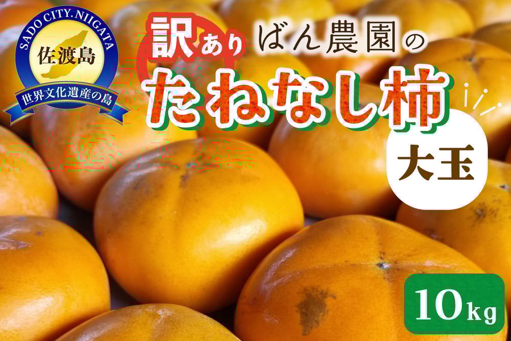 
            【訳あり】大玉たねなし柿10kg（箱込み重量）佐渡島産
          
