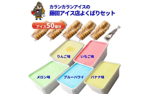 よくばりアイスセット＜ケースアイス×5種類・コーン×50個・盛り付け用ヘラ付き＞【1657753】