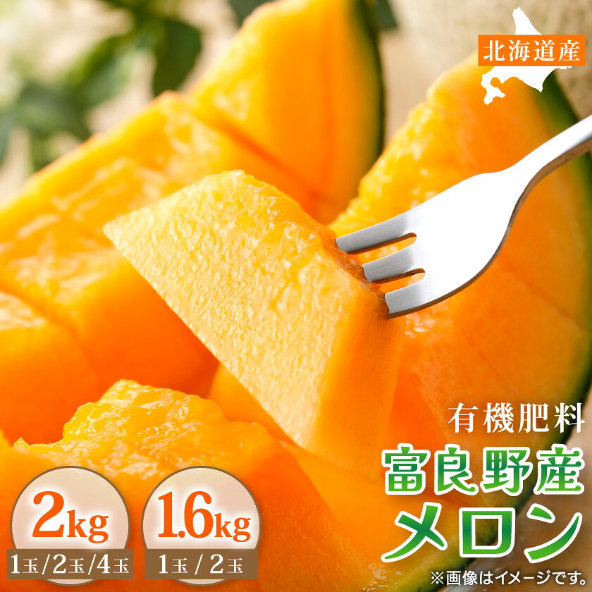 【ふるさと納税】富良野産メロン 2kg×1玉/2kg×2玉/2kg×4玉/1.6kg×1玉/1.6kg×2玉【G1301784】