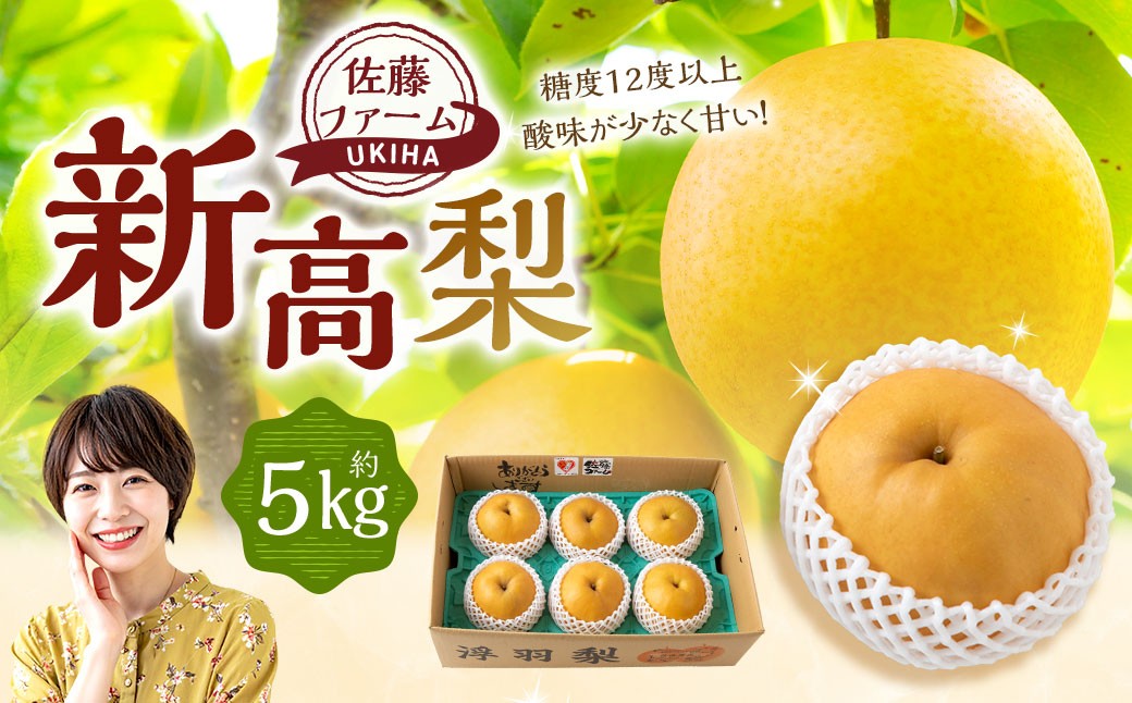 
            【先行予約】 佐藤ファーム 新高梨 5玉～8玉 （約5kg） 【2026年9月下旬～10月上旬より順次発送予定】 梨 なし ナシ 新高 にいたか 大玉 果物 くだもの フルーツ 果実 ジューシー お取り寄せ 福岡県 うきは市 常温
          