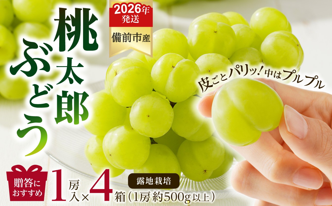 
            【2026年発送分　先行受付開始！】びぜん葡萄「桃太郎ぶどう」（露地栽培）1房入×4箱セット（令和8年9月上旬～10月中旬頃発送）【 岡山県備前市産 桃太郎ぶどう 露地栽培 1房入×4箱セット 樹上完熟 】
          