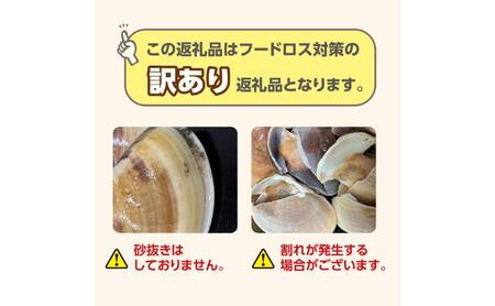 はまぐり 訳あり 2kg 割れ 砂無 はまぐり