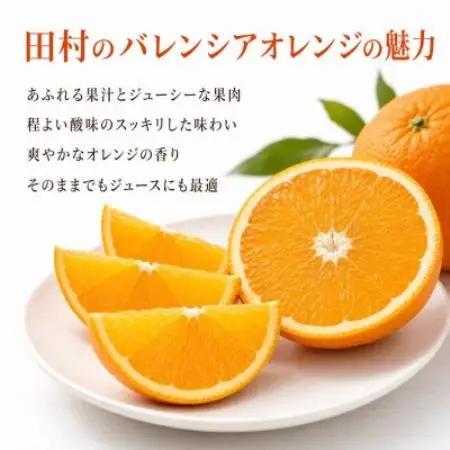 秀品　田村のバレンシアオレンジ　約7kg【配送不可地域：離島】【1766473】