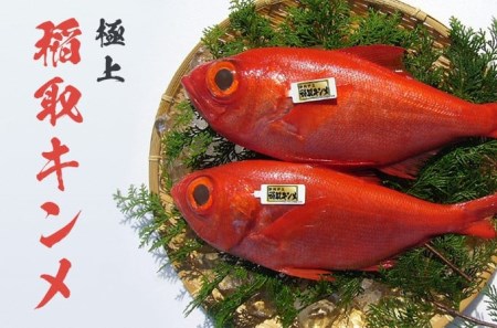 稲取 キンメ 姿煮 1164 ／ 山田屋海産 郷土料理 伝統の味付 金目鯛 静岡県 東伊豆町